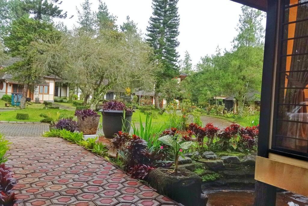 Designer Villa Tokyo Cianjur Exteriör bild