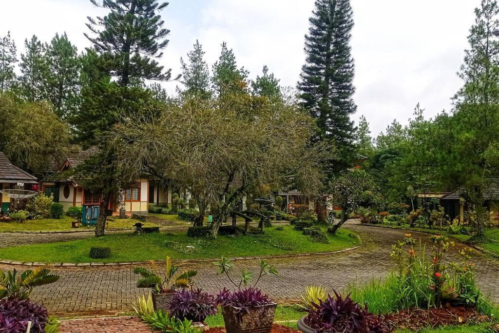 Designer Villa Tokyo Cianjur Exteriör bild