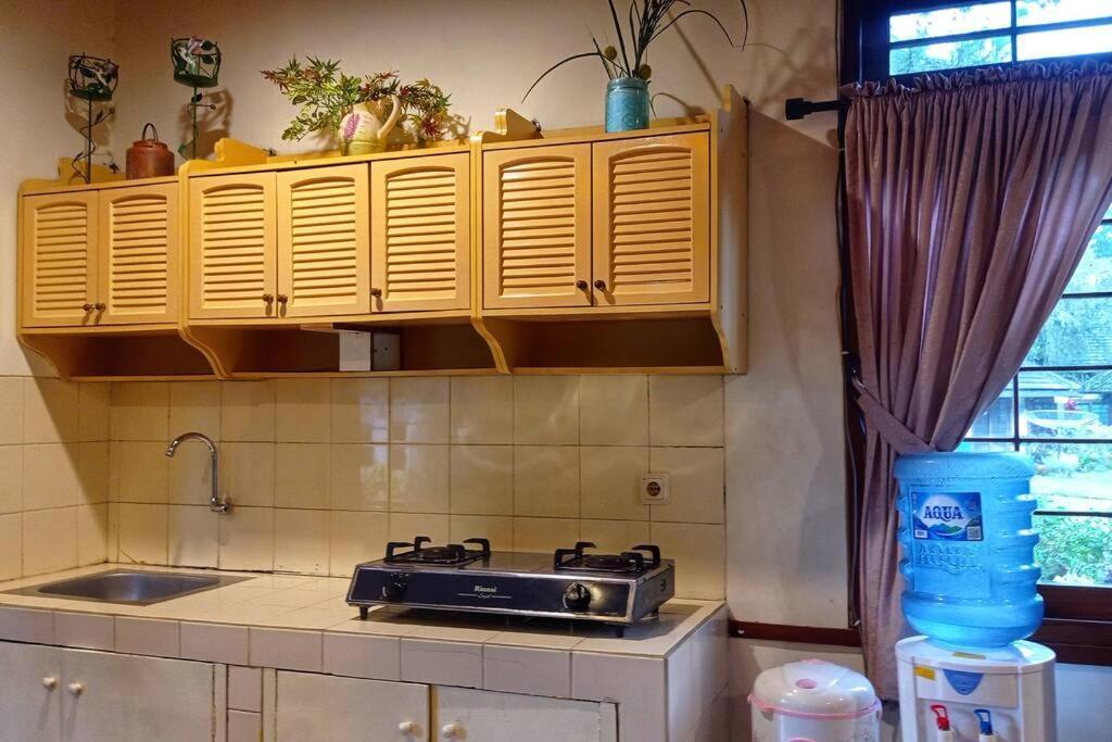 Designer Villa Tokyo Cianjur Exteriör bild